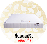 ที่นอนสปริง